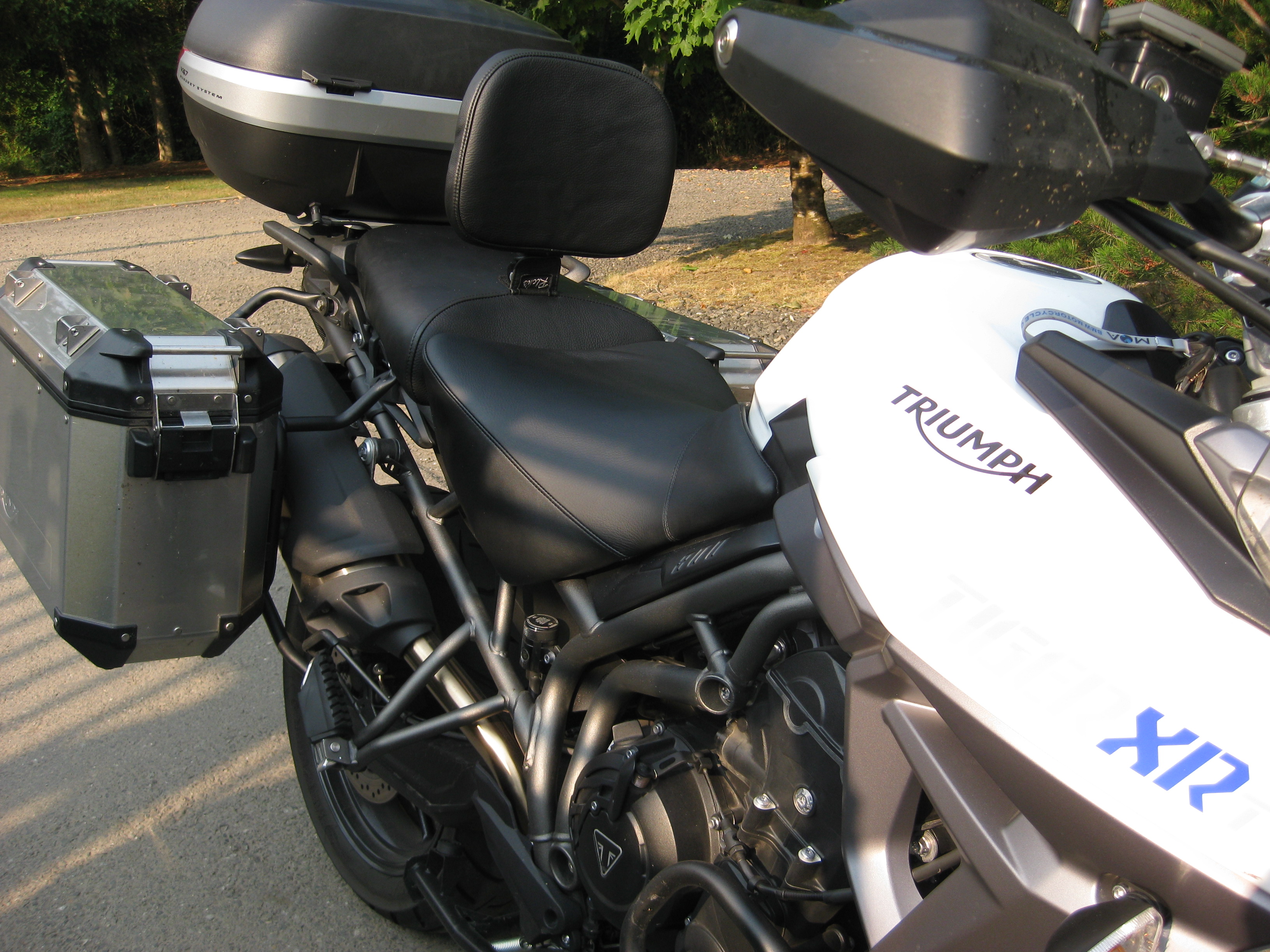 tiger 800 low seat